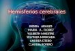 HEMISFERIOS CEREBRALES (1)