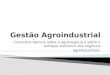 aula 1 introdução a Gestão Agroindustrial