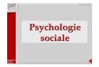 M1 Psychologie Sociale 2011-12