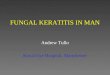 Fungal Keratitis Slides