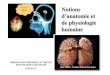 Anatomie Physiologie Humaine