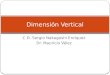 Dimension Vertical (2)