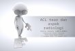 ACL Tear Dan Aspek Radiologi