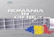 INS Romania in Cifre 2012
