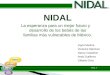 Presentacion Nidal