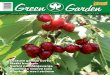 Green Garden 56