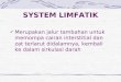 System Limfatik