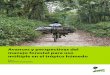 Manuel Guariguata - Avances y Perspectivas Del Manejo Forestal Para Uso Multiple en El Tropico Humedo Tropical