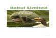 Babui Limited Profile