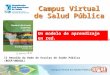 Ana Cristina Furniel (Brasil) - Campus virtual de Salud Pública: un modelo de aprendizaje en red