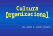 Tema cultura organizacional