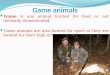 Game animals Shared By Abdul Qahar