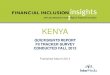Kenya Mobile Money and Digital Finance Survey Fall 2013