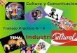 Cultura y comunicacion Trabajo Práctico N° 4