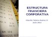 Estructura financiera corporativa jul 2011