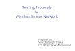 Wireless Sensor Network Routing Protocols