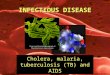 01 Cholera, Malaria, Tuberculosis (TB) and AIDS