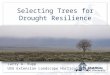 Selecting Trees for Drought Resilience