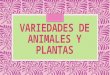 variedades de animales y plantas