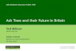 Ash trees and their future in Britain