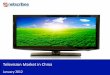 Market Research Report :  Television Market in China 2012