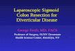 Laparoscopic Sigmoid Colon Resection for Diverticular Disease