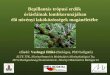 Vashegyi Ildikó - Bepillantás trópusi erdők óriásfáinak lombkoronájában élő növényi lakóközösségek magánéletébe - Budapest Science Meetup November