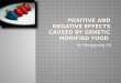 Positive And Negative Effects Caused By Genetic Modified
