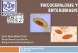 Tricocefalosis y enterobiasis