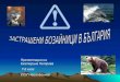 защитени бозайници в българия Katia petrova