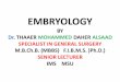 Lecture 12 the skeleton embryology pdf