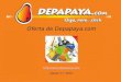 2010 08 Depapaya Oferta