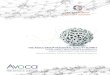 2012 Avoca Quality Summit Report