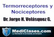 Termorreceptores y Nociceptores