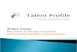 TTI DISC Talent Profile
