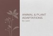 Animal & plant adaptations, Leah