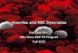 Anemias   interpretation of cbc 2010rev