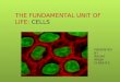 fundamental unit of life :cell