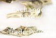 Exchange rate and trade policy