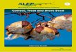 Collect, Treat and Store Seeds ~ ALEP Australia