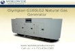 Olympian G100LG2 Natural Gas Generator