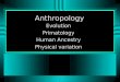 Evolution, Primatology, Human Ancestry, Physical variation