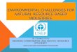Environmental Challenges for Natural Resource Based Industries