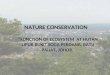 Nature Conservation-Function of Forest Ecosystem
