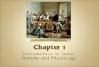 Anatomy and physiology Introduction Chapter 1 Notes