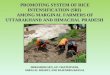 0718 Promoting System of Rice Intensification (SRI) Among Marginal Farmers of Uttarakhand and Himachal Pradesh