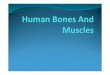 Bones of human body.pdfx