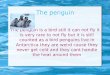 Penguins, By Aimee