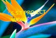 S.s.t project work
