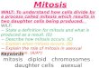 B2.7 mitosis and meiosis